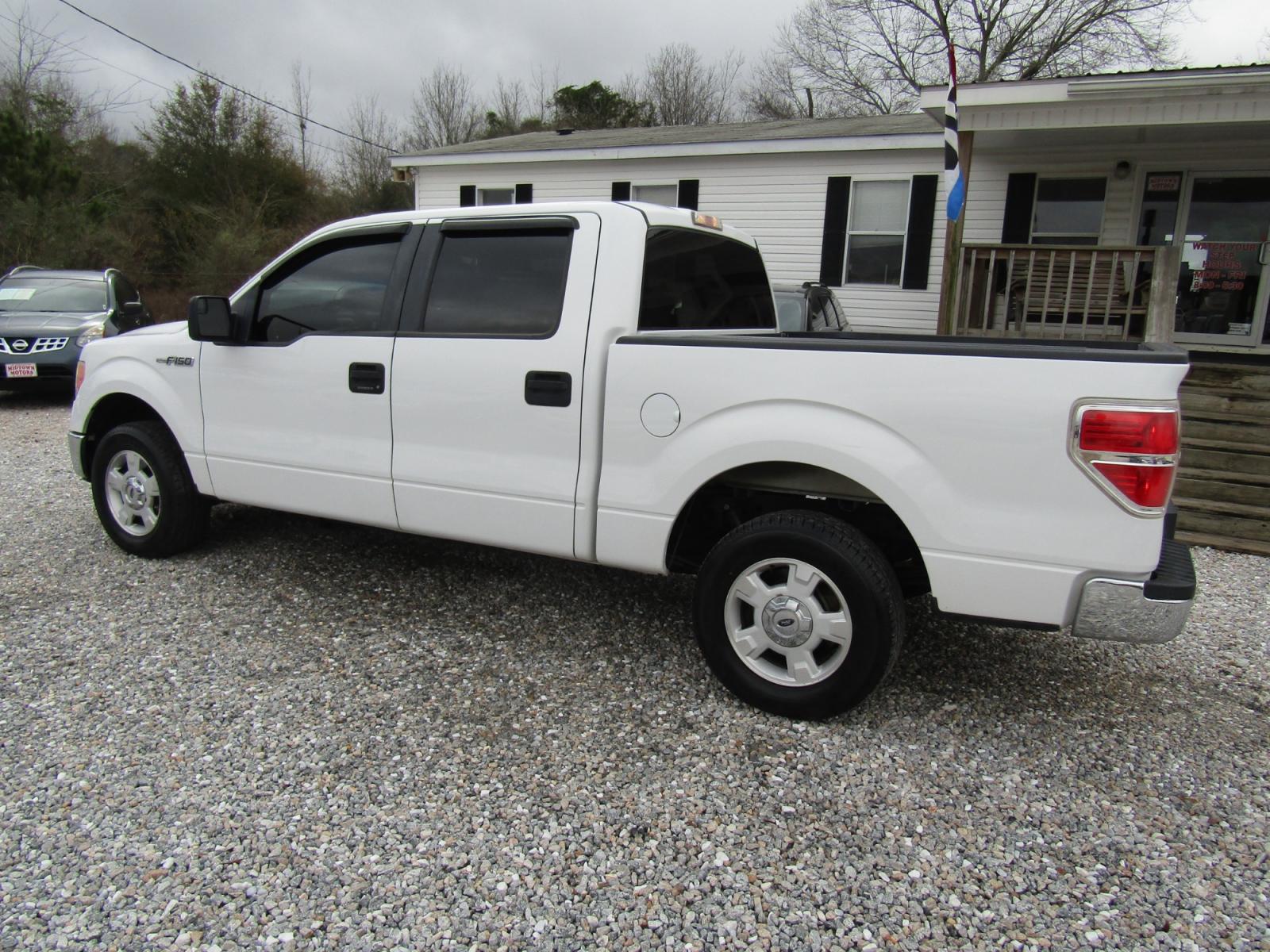 2014 White /Gray Ford F-150 (1FTEW1CM6EF) , Automatic transmission, located at 15016 S Hwy 231, Midland City, AL, 36350, (334) 983-3001, 31.306210, -85.495277 - Photo #5